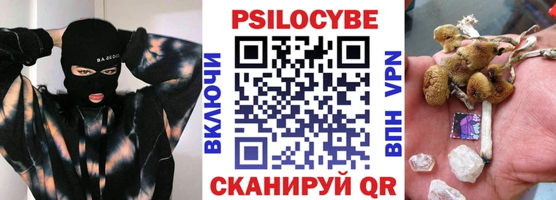 Галлюциногенные грибы Psilocybine cubensis  Кашира 