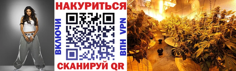 Шишки марихуана семена  Кашира 
